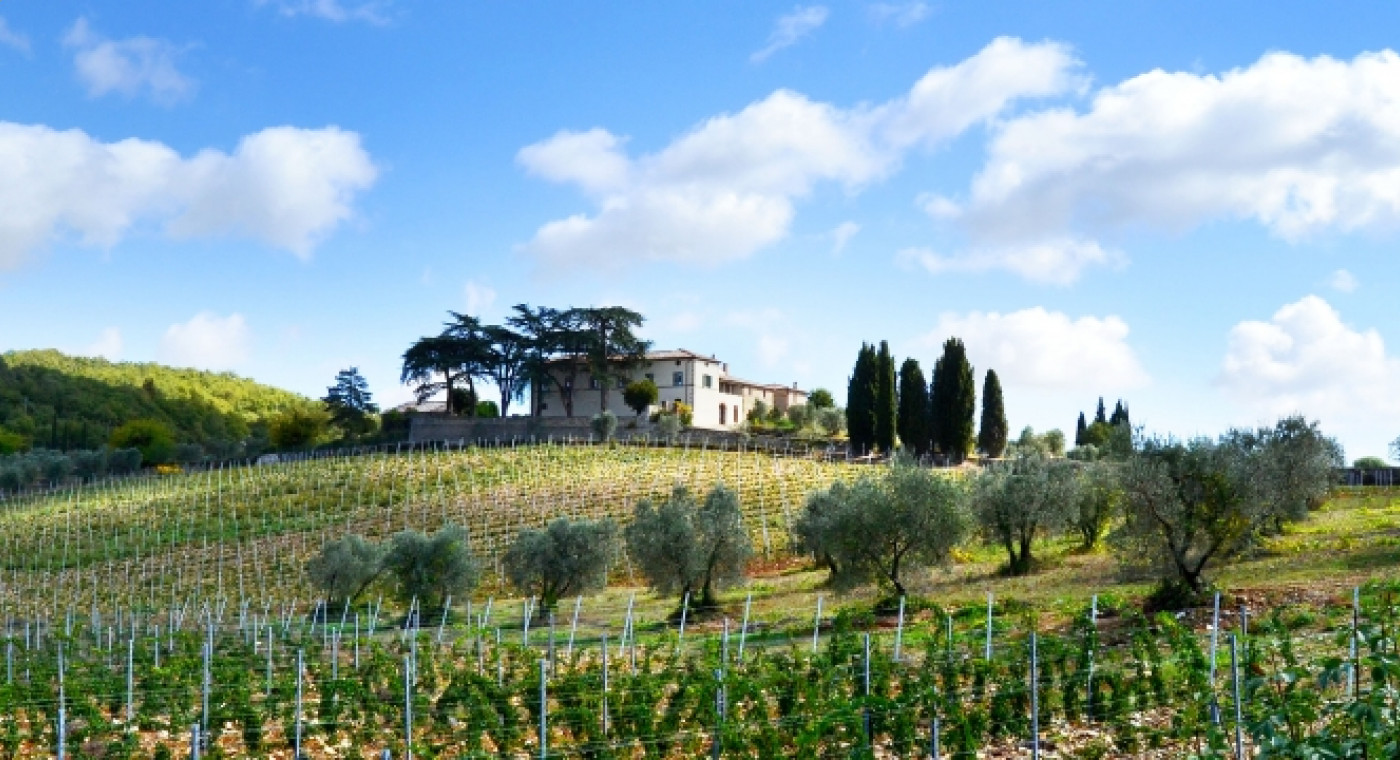 A Look At The Wine Cellar - Bindi Sergardi Fattoria di Mocenni